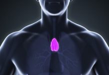 Des chercheurs ont trouvé que cet organe oublié pouvait prédire votre longévité et l’IA le confirme