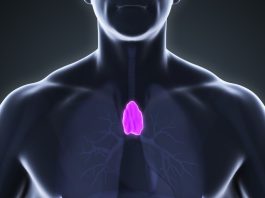Des chercheurs ont trouvé que cet organe oublié pouvait prédire votre longévité et l’IA le confirme