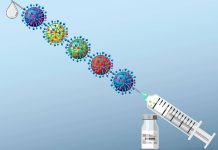 L’IA ouvre la voie au premier vaccin universel contre les coronavirus