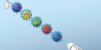 L’IA ouvre la voie au premier vaccin universel contre les coronavirus