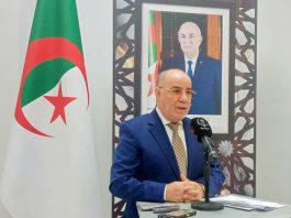 Formation et encadrement: 405 imams et 300 enseignants du Coran diplômés