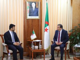Énergie et investissements: Sonatrach et SEEPCO ciblent de nouveaux projets en Afrique