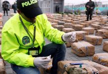 Espagne: Près de 4.800 kg de haschisch marocain saisis dans le détroit de Gibraltar