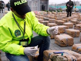 Espagne: Près de 4.800 kg de haschisch marocain saisis dans le détroit de Gibraltar