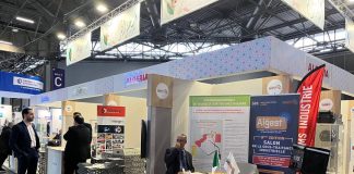 Industrie automobile: Les constructeurs mondiaux prospectent à Oran