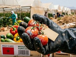 Les produits agricoles marocains contaminés menacent désormais la sécuritéalimentaire européenne