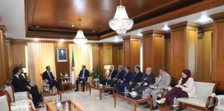 Hydrocarbures: Arkab explore avec le ministre syrien des Affaires étrangères le renforcement de la coopération
