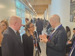 Algérie-Paraguay: Saihi examine avec son homologue paraguayenne les perspectives de coopération bilatérale
