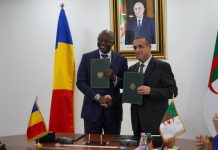 Pose de la première pierre d’une centrale électrique à N’Djamena dans les prochains jours: Tebboune, vise à soutenir les pays africains et à promouvoir la coopération Sud-Sud