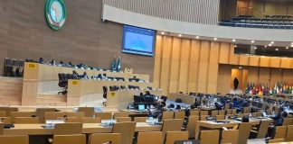 Conférence de Pelindaba à Addis-Abeba: L’Algérie défend le nucléaire pacifique