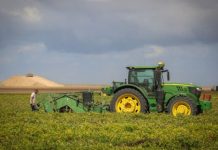 FAO: Les prix alimentaires mondiaux en hausse de 2,9 % en mai