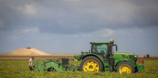 FAO: Les prix alimentaires mondiaux en hausse de 2,9 % en mai