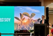 Coopération algéro-américaine: Atelier sur la transformation des oléagineux et l’alimentation animale