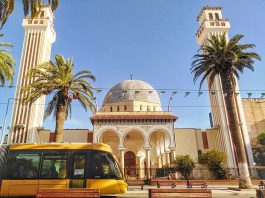 Sidi Bel-Abbes :Un plan sectoriel intégré pour garantir le succès de la saison estivale 2026