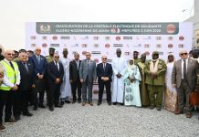 Pose de la première pierre d’une centrale électrique à N’Djamena dans les prochains jours: Tebboune, vise à soutenir les pays africains et à promouvoir la coopération Sud-Sud