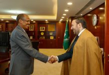 Elle a décroché plusieurs postes importants au sein des structures de l’Union africaine: Une nouvelle victoire pour la diplomatie algérienne
