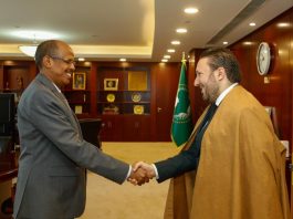 Elle a décroché plusieurs postes importants au sein des structures de l’Union africaine: Une nouvelle victoire pour la diplomatie algérienne