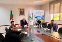 Coopération économique dans la région MENA: Les agences d’investissement réunies à Alger en septembre