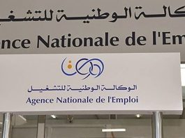 Transformation numérique: L’ANEM déploie «Insat» pour simplifier les recours des demandeurs d’emploi