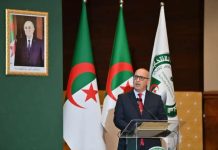 L’ANIE dévoile les chiffres provisoires de la participation: Le scrutin clos, la prochaine APN se dessine