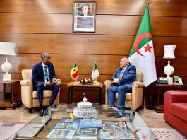 Algérie – Sénégal: Attaf reçoit son homologue sénégalais Cheikh Niang