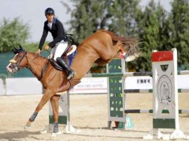 Equitation – Concours national de saut d’obstacles: Aït Lounis Brahim remporte le Grand Prix deux étoiles