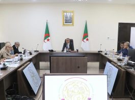 Infrastructures portuaires: Djellaoui accélère le déploiement de la société algéro-chinoise de dragage