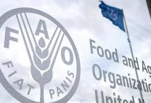 Recul mensuel des cours malgré une hausse annuelle: La FAO signale une hausse de 1,7 % des prix alimentaires mondiaux en juin