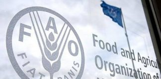 Recul mensuel des cours malgré une hausse annuelle: La FAO signale une hausse de 1,7 % des prix alimentaires mondiaux en juin