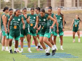 CAN-2026 féminine: La sélection algérienne reprend le travail à Oran