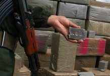 Des réseaux criminels transfrontaliers neutralisés et plus de 6 quintaux de kif traité saisis à Alger et Tlemcen