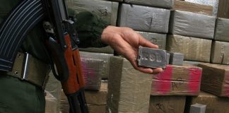 Des réseaux criminels transfrontaliers neutralisés et plus de 6 quintaux de kif traité saisis à Alger et Tlemcen