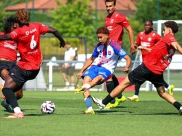 Olympique Lyonnais: Hamdani et Boudache donnent des ailes à Lyon !