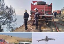 Avec la participation de tous les secteurs et organismes concernés: Mobilisation totale contre les feux de foret
