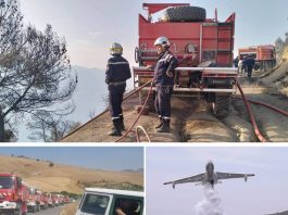 Avec la participation de tous les secteurs et organismes concernés: Mobilisation totale contre les feux de foret