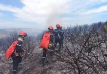 Le dispositif de lutte reste mobilisé: 159 incendies en 24 heures, 141 maîtrisés