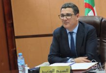 Algérie-Tchad: Une feuille de route pour relancer la coopération en santé
