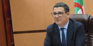 Algérie-Tchad: Une feuille de route pour relancer la coopération en santé