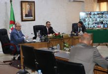Moisson-battage et bandes de quartiers: Sayoud fixe le cap