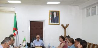 Tizi-Ouzou: L’opération de récupération de l’ensemble du foncier industriel non exploité se poursuit