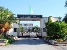 Université « Djillali Liabes » de Sidi Bel-Abbes: Plus de 6.000 étudiants diplômés au titre de l’actuelle année universitaire