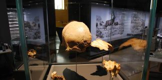 En 100 ans, voici la stupéfiante transformation observée par des chercheurs sur la forme des têtes humaines
