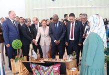 Environnement: Cinq communes distinguées pour leur engagement écologique