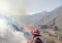 Extinction de 91 incendies sur un total de 103 en 24 heures