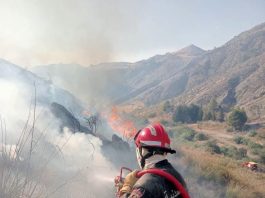 Extinction de 91 incendies sur un total de 103 en 24 heures
