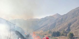 Extinction de 91 incendies sur un total de 103 en 24 heures