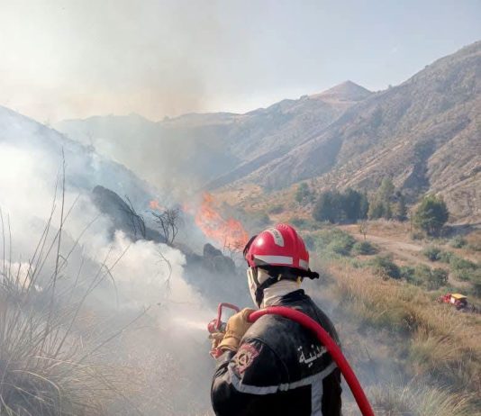 Extinction de 91 incendies sur un total de 103 en 24 heures