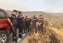 Lutte contre les feux de forêt: Vaste mobilisation sur le terrain