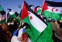 Sahara occidental: Un colloque revient sur 70 ans de lutte: L’Algérie réaffirme l’impératif d’autodétermination
