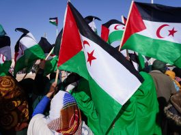 Sahara occidental: Un colloque revient sur 70 ans de lutte: L’Algérie réaffirme l’impératif d’autodétermination